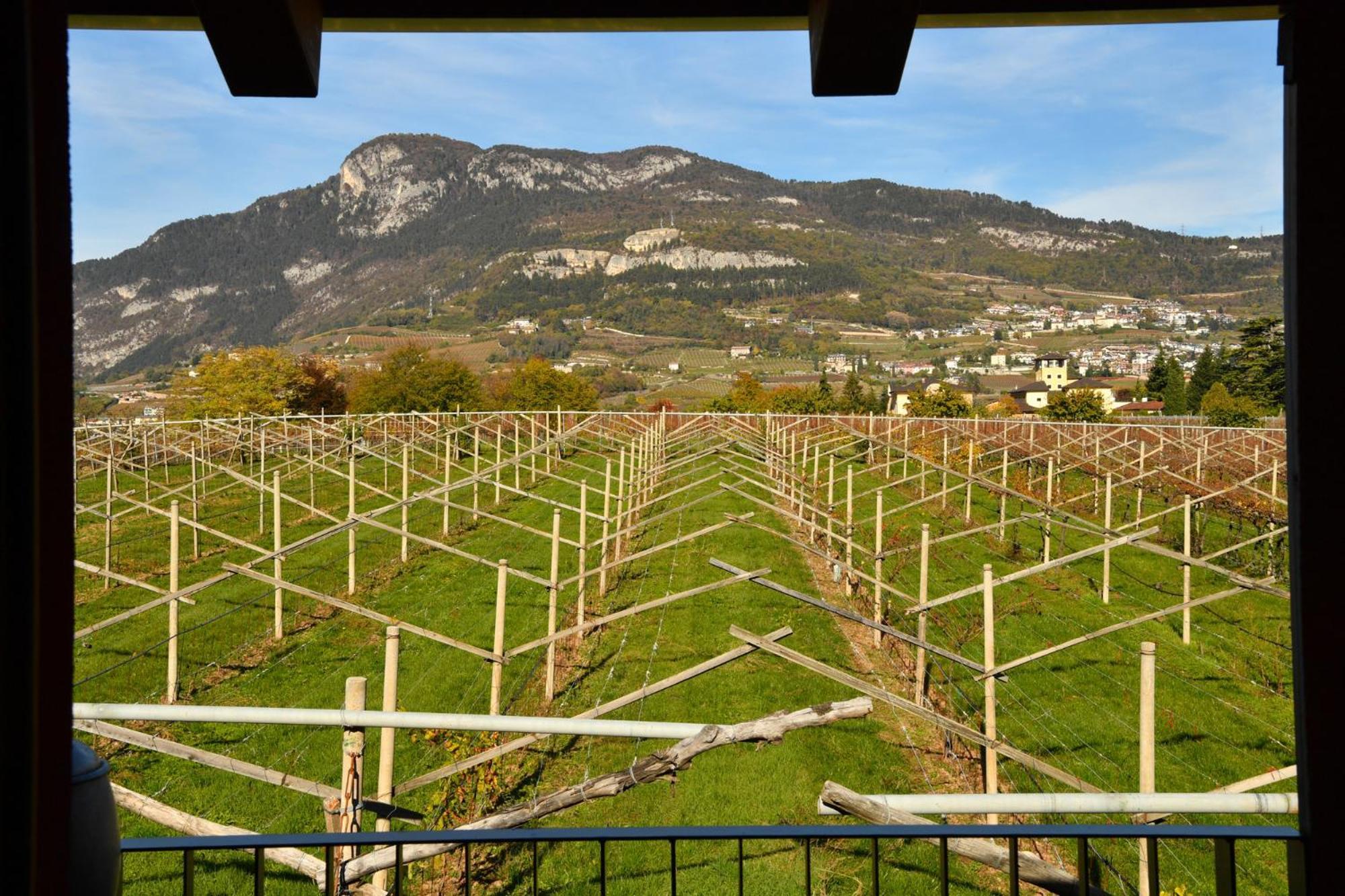 Вилла 8 Grappoli Agritur Тренто Экстерьер фото